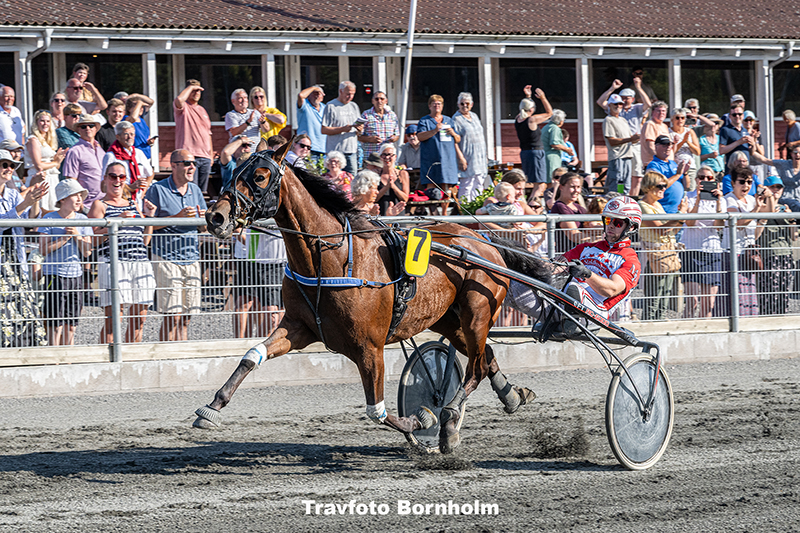 Jackpot med Mads Petersen 14 august 2025 Fotograf Torben Ager Travfoto Bornholm TKA 8860 1