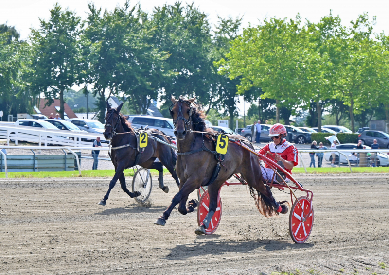 KRAMERSKING DSC 3371