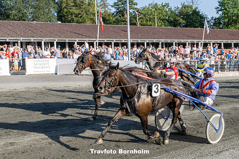 Peanut Onion med Kenn Christoffersen 14 august 2025 Fotograf Torben Ager Travfoto Bornholm TKA 9040