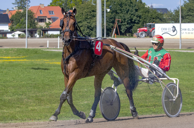 Steen Juul med stort hold i Aalborg
