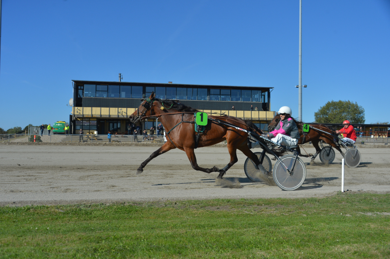Hester Bl bjerg 250927