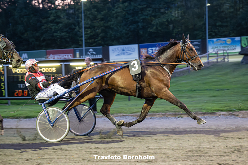Ismael F Boko med John Gommans 9 september 2025 Fotograf Torben Ager Travfoto Bornholm TKA 0832