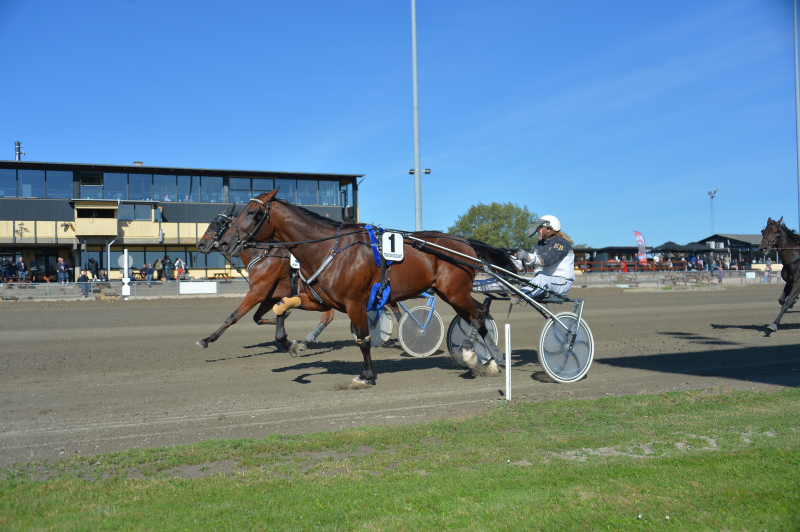 Kingsheart B gedal 250927