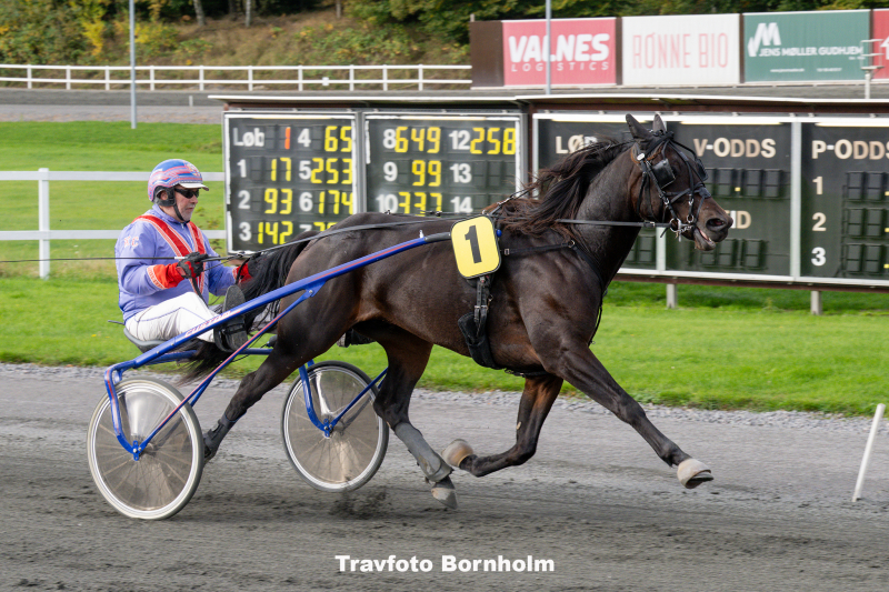 Easy Onion med Kenn Christoffersen 11 oktober 2025 Fotograf Torben Ager Travfoto Bornholm TKA 2987 1