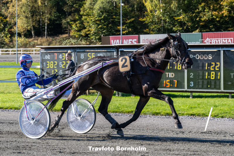 Filly med Niclas Steinlain 19 oktober 2025 Fotograf Torben Ager Travfoto Bornholm TKA 3911