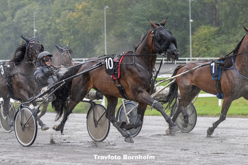Fr ns Hjortsh j med Kim Mortensen 4 oktober 2025 Fotograf Torben Ager Travfoto Bornholm TKA 2727