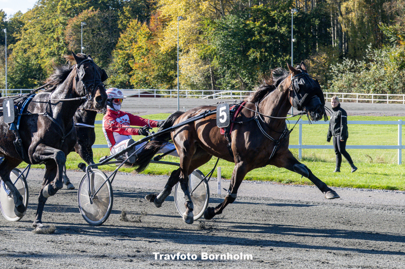 Fr ns Hjortsh j med Mads Petersen 19 oktober 2025 Fotograf Torben Ager Travfoto Bornholm TKA 3855