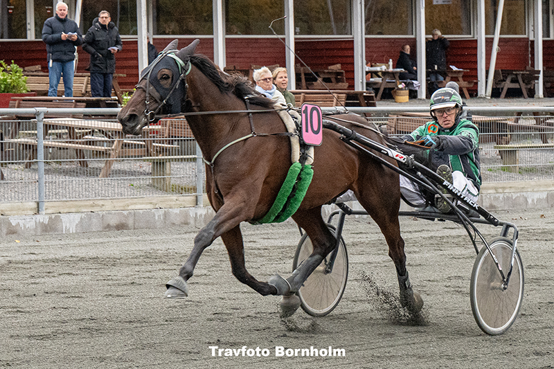 Go On Spring med Lars Erik Kaas 25 oktober 2025 Fotograf Torben Ager Travfoto Bornholm TKA 4443