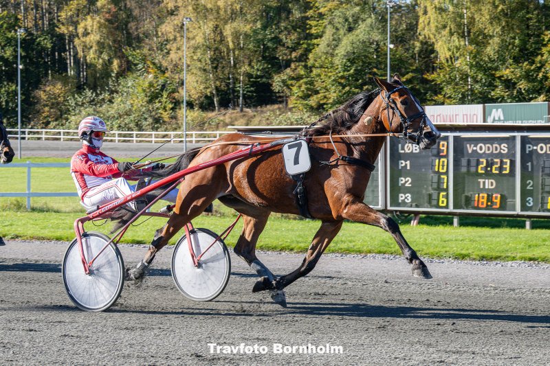 Hejdi Hovmand Mads Petersen 19 oktober 2025 Fotograf Torben Ager Travfoto Bornholm TKA 3818
