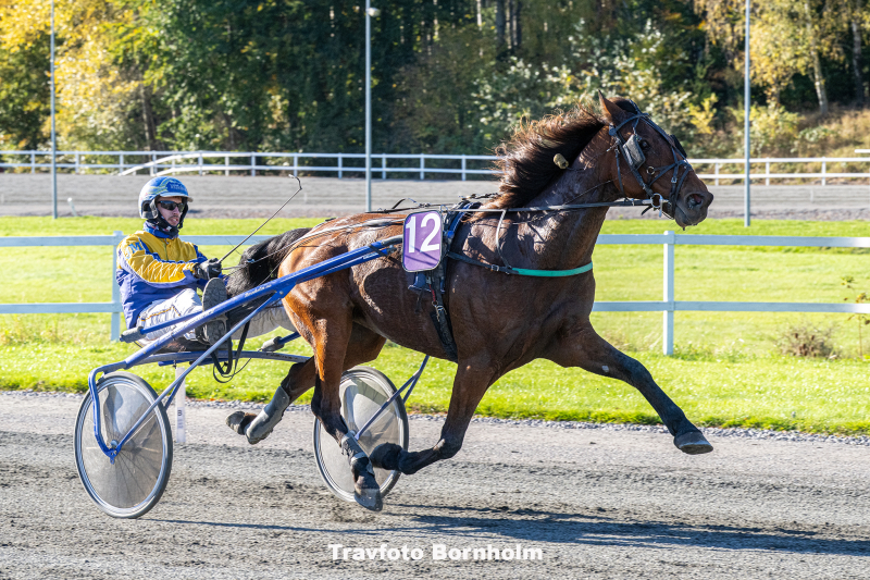 Herman KS med Jonas Mikkelsen 19 oktober 2025 Fotograf Torben Ager Travfoto Bornholm TKA 3940
