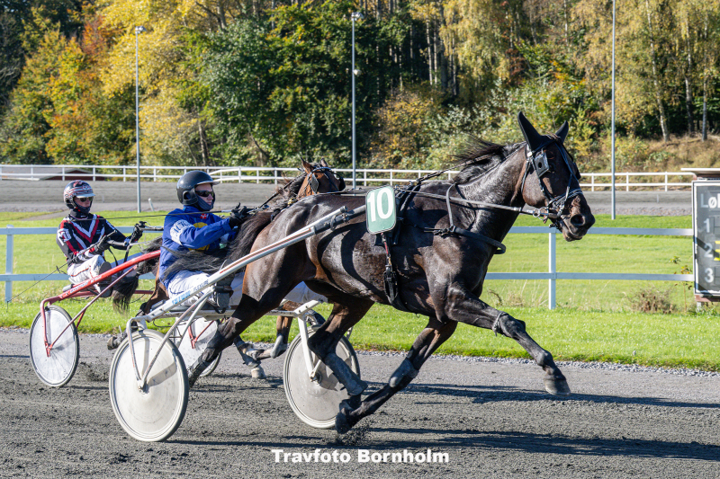 Inter flamingo med Mads K Mogensen 19 oktober 2025 Fotograf Torben Ager Travfoto Bornholm TKA 3762