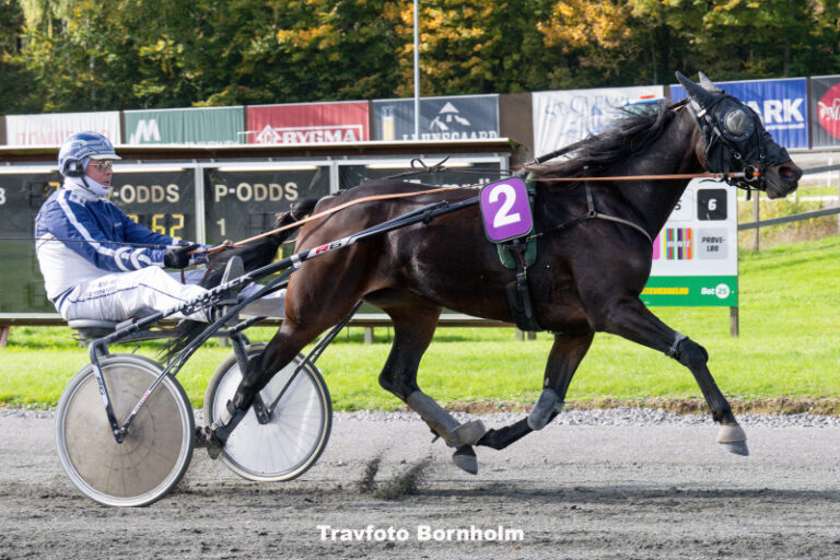 Ivery Bork med Martin Sj holm Jensen 11 oktober 2025 Fotograf Torben Ager Travfoto Bornholm TKA 3392