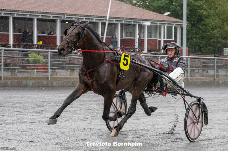 Keep Winning med Anders F Jensen 4 oktober 2025 Fotograf Torben Ager Travfoto Bornholm TKA 2542