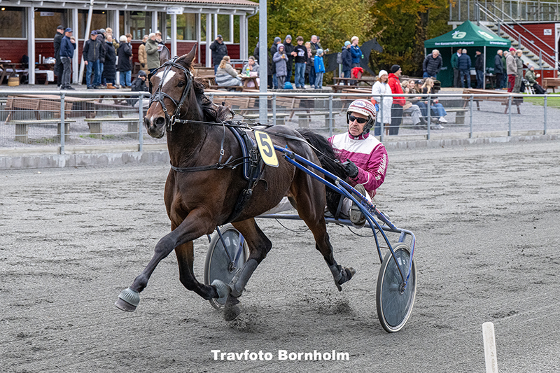 Lau Silk med Frank Mikkelsen 25 oktober 2025 Fotograf Torben Ager Travfoto Bornholm TKA 4051 1