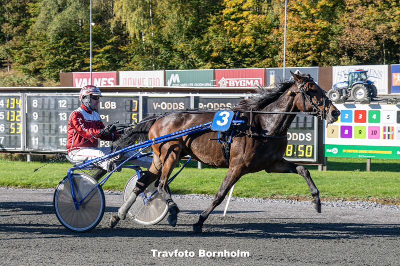 Lilivia med Frank Mikkelsen 19 oktober 2025 Fotograf Torben Ager Travfoto Bornholm TKA 3655