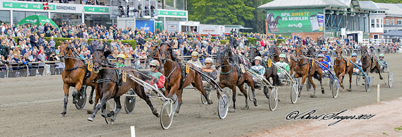 Omgange TravDerby 2021 S2 7558