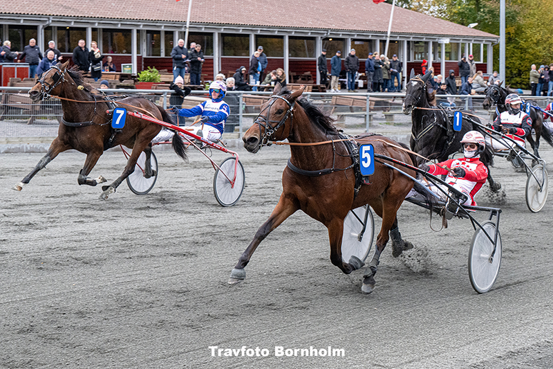Readytorace Bira med Mads Petersen 25 oktober 2025 Fotograf Torben Ager Travfoto Bornholm TKA 4079