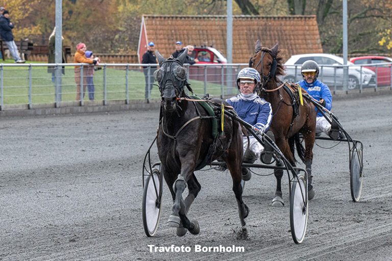 Ivory Bork med Martin Sjoeholm Jensen 2 november 2025 Fotograf Torben Ager Travfoto Bornholm TKA 4489 1