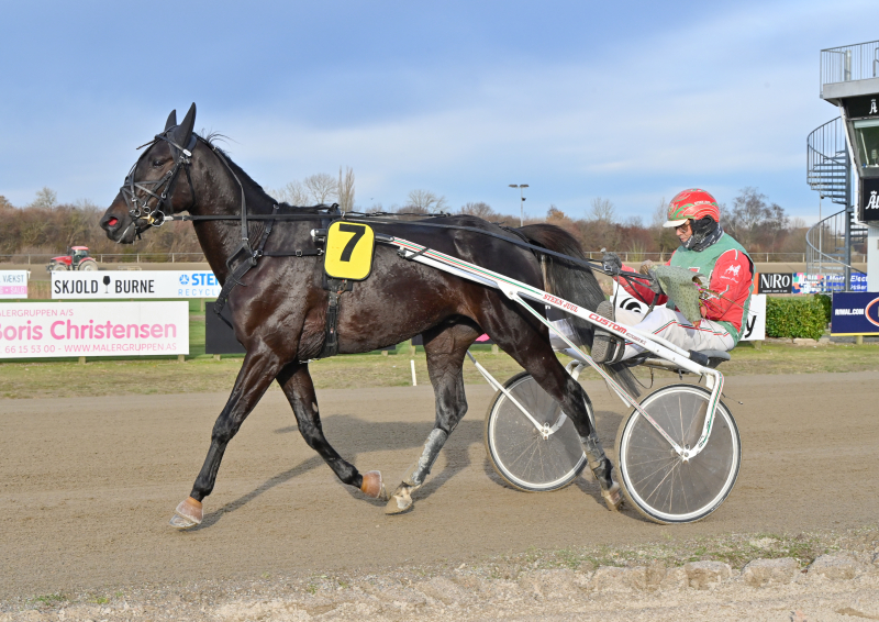 LANSON DSC 4342 1 1