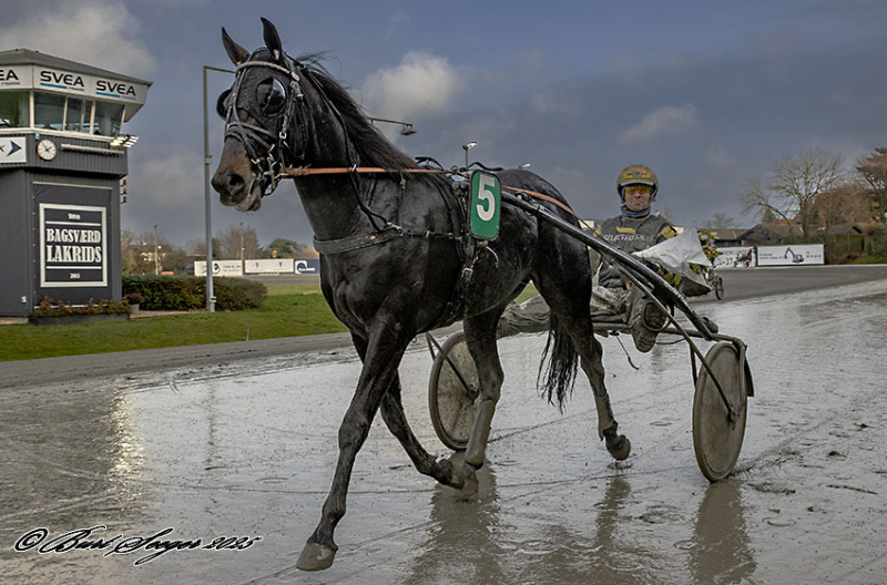 MATIAS BORK D2I1196