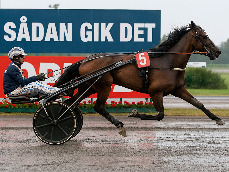 B-trænere får nyt håb