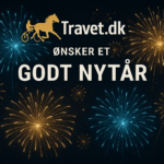 Godt nytår og tanker om året, der er gået Godt nytår og tanker om året, der er gået