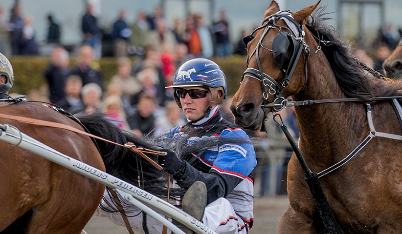 anders pedersen mgl7125 1