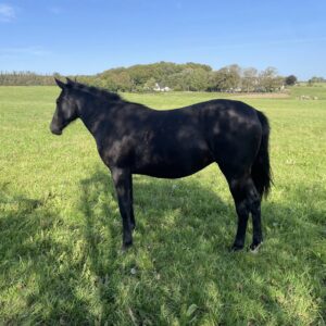 Call Your Neighbours