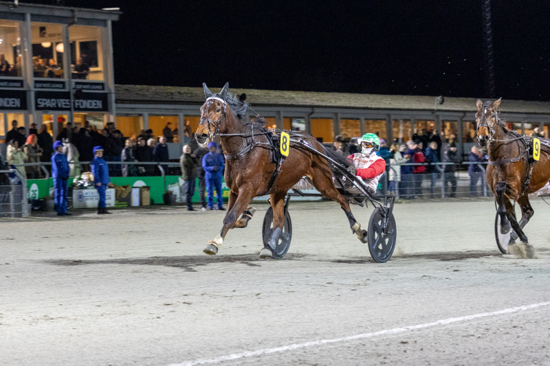 ludvig cash