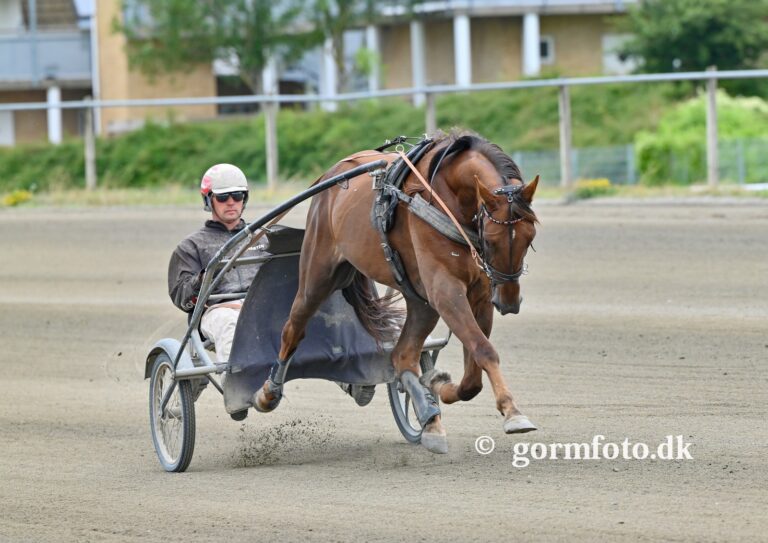 martin hansen 1
