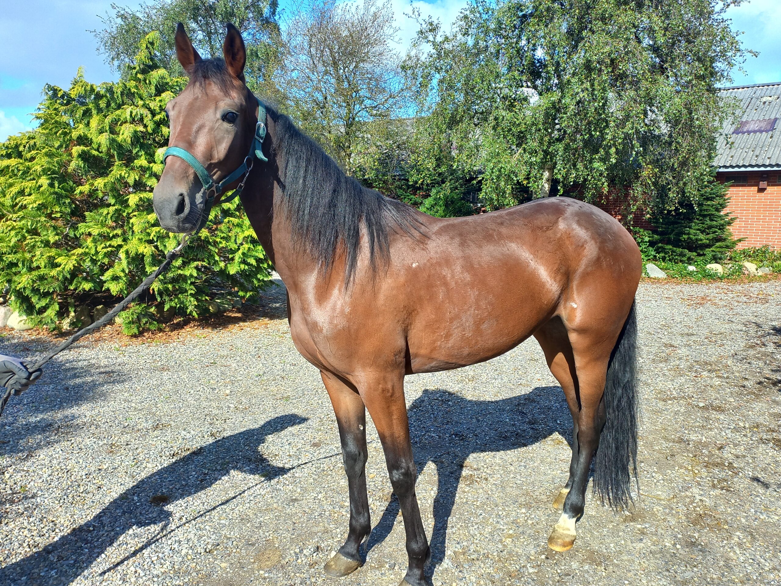 20250922 123529 scaled