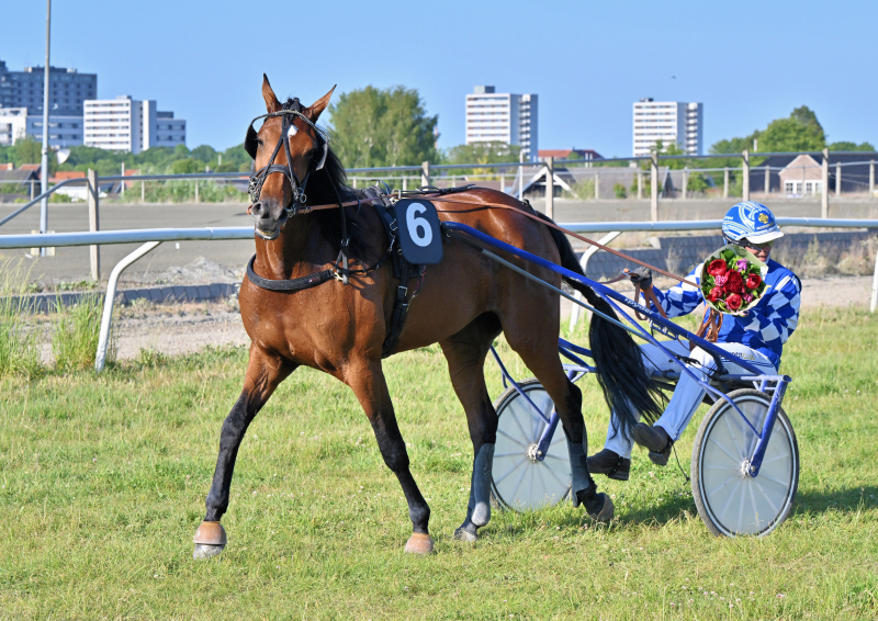 Just A Lady jagter ny triumf i Frankrig