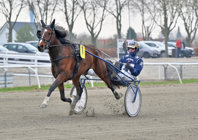 ISELIN NZ9 1711