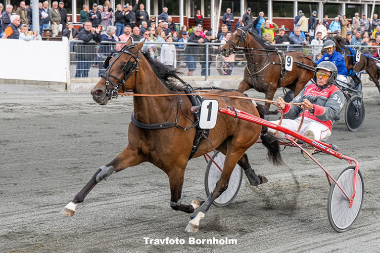 Kaasgaard med Stefan Lind Holm 17 juni 2025 Fotograf Torben Ager Travfoto Bornholm TKA 2410