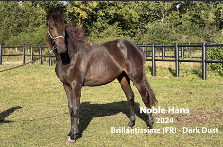 Noble