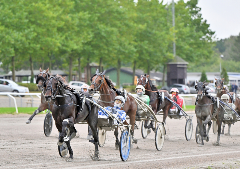 THEWINNERTAKEITALL NZ9 0820