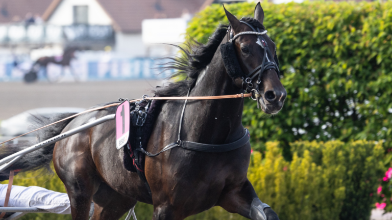 baa00a66131f171870cb4f9cb1ae61a161ce75e1 1920x1080 1 1