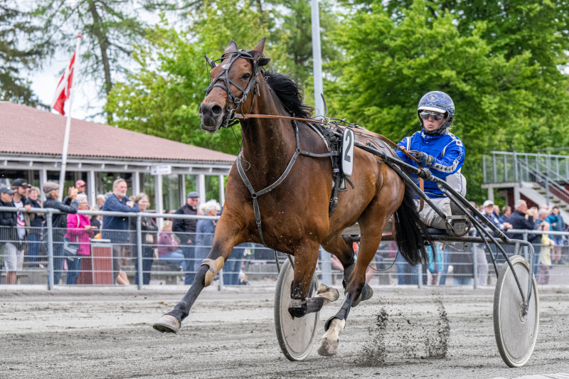 Frangus Hooligan med Michala Haagensen 22 maj 2022 Fotograf Torben Ager Travfoto Bornholm TKA 8095 1