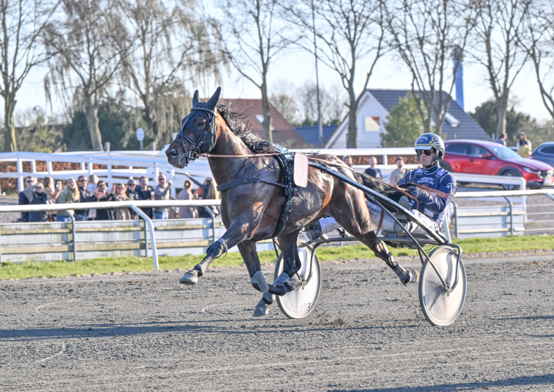 HARBOE NZ9 2778