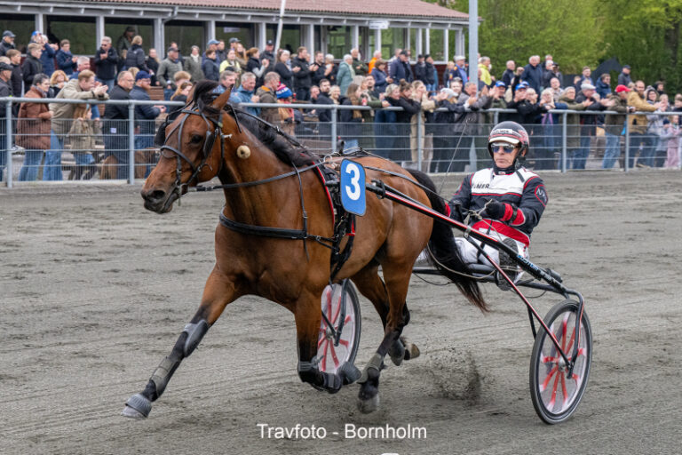 High Roller med Niels Kristian Hansen 10 maj 2024 Fotograf Torben Ager Travfoto Bornholm TKA 9332