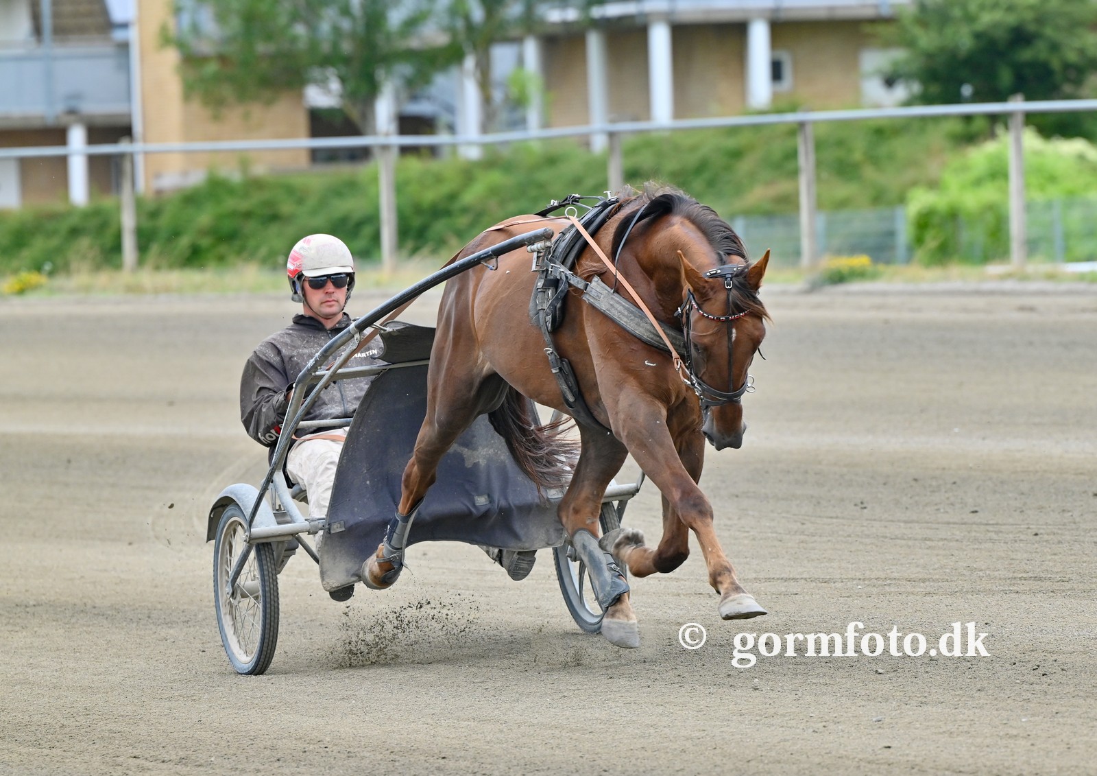 martin hansen 1