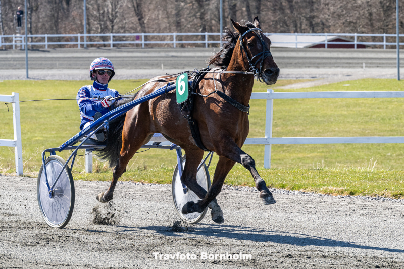Cerosso med Niclas Steinlain 11 april 2026 Fotograf Torben Ager Travfoto Bornholm TKA 9354