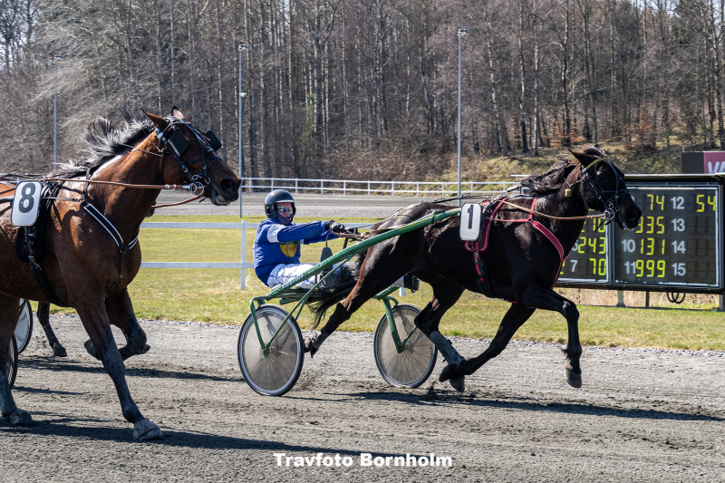 Disney med Mads K Mogensen 11 april 2026 Fotograf Torben Ager Travfoto Bornholm TKA 9411