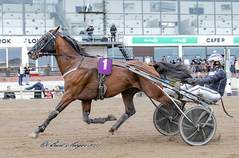 Dansk Derby-treer sejrede på Halmstad