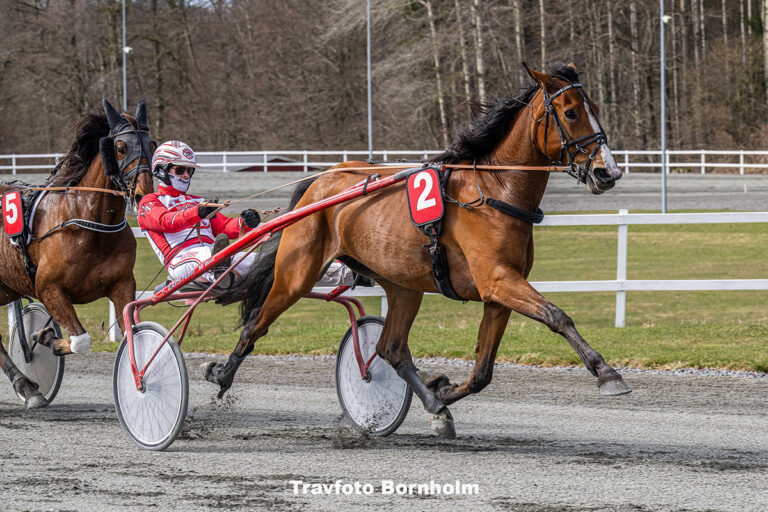 Hejdi Hovmand med Mads Petersen 4 april 2026 Fotograf Torben Ager Travfoto Bornholm TKA 8860 1