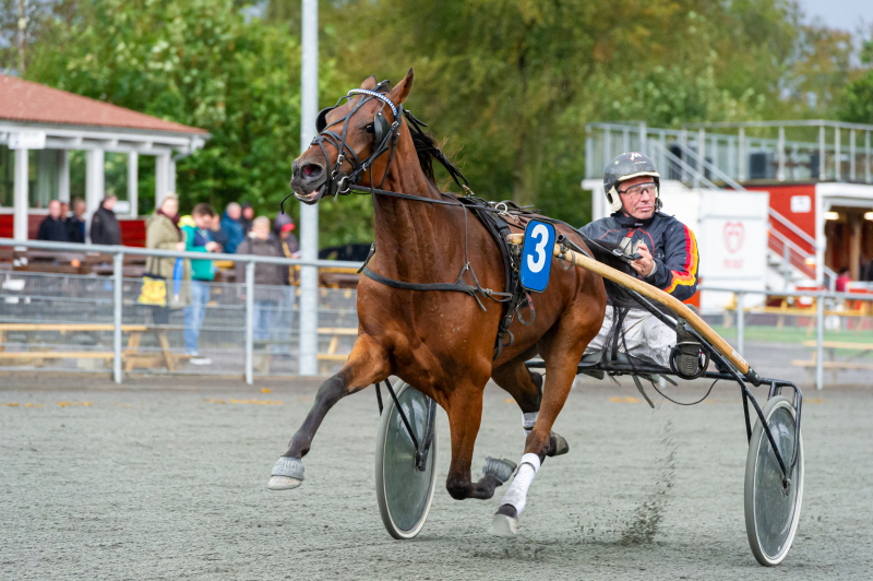 Jaguar Star med Stefan Lind Holm Bornholms Brand Park 17 september 2019 Fotograf Torben Ager Travfoto Bornholm TKA 1563 2