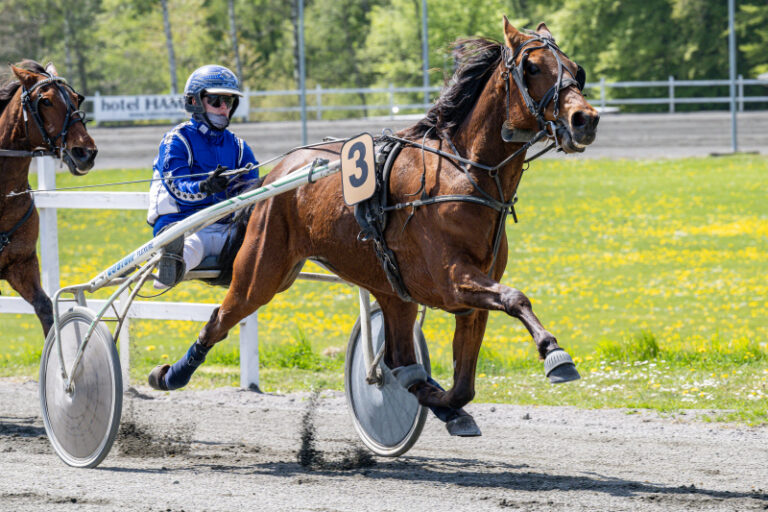 Jaguar Start med Michala Haagensen 14 maj 2022 Fotograf Torben Ager Travfoto Bornholm TKA 6885 2