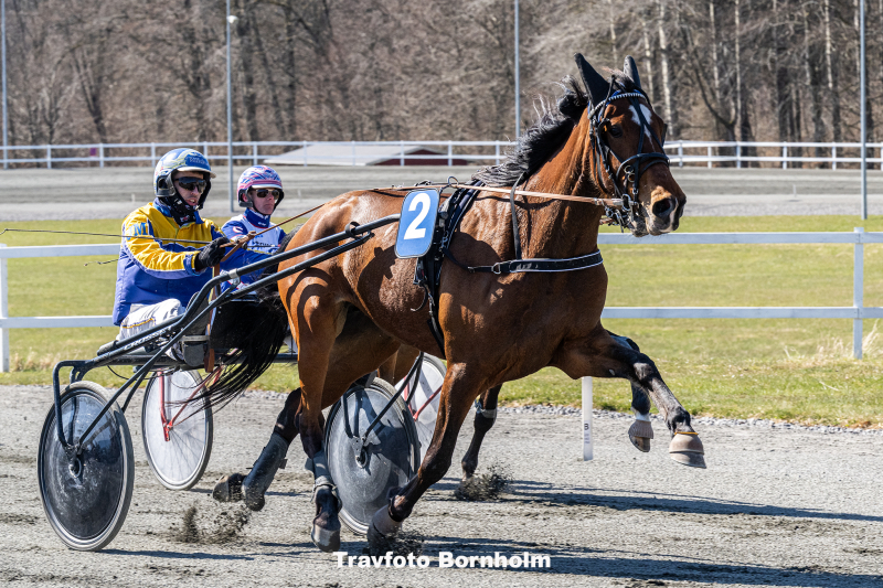 Ka Li Baunely med Jonas Mikkelsen 11 april 2026 Fotograf Torben Ager Travfoto Bornholm TKA 9255