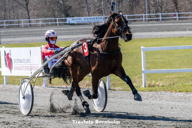 Keep Winning med Mads Petersen 11 april 2026 Fotograf Torben Ager Travfoto Bornholm TKA 9291