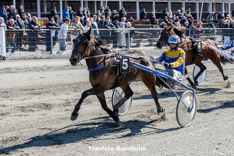 Lilivia med Jonas Mikkelsen 11 april 2026 Fotograf Torben Ager Travfoto Bornholm TKA 9458